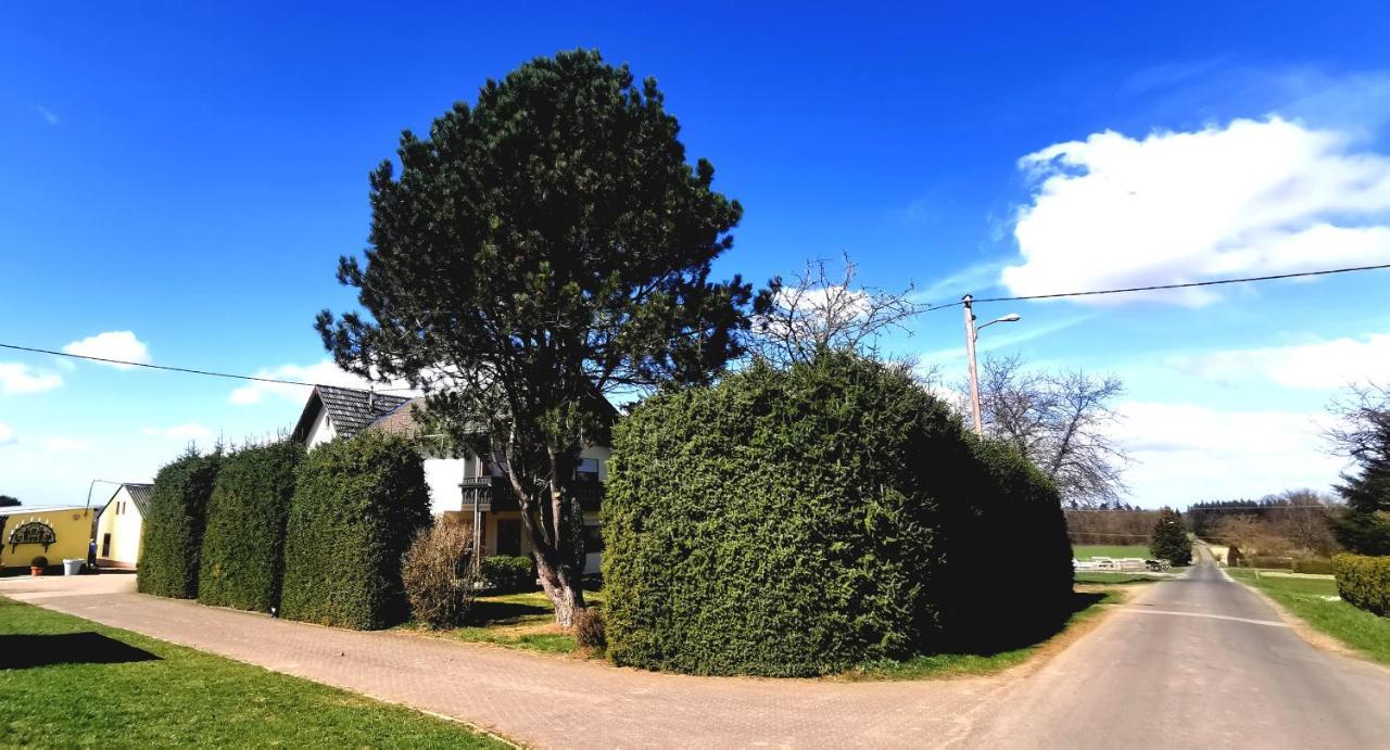 Ferienwohnung Landidylle Nassheck 迪布利希 外观 照片